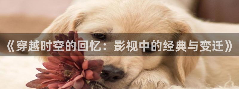 蕾丝丝瓜视频：《穿越时空的回忆：影视中的经典与变迁》