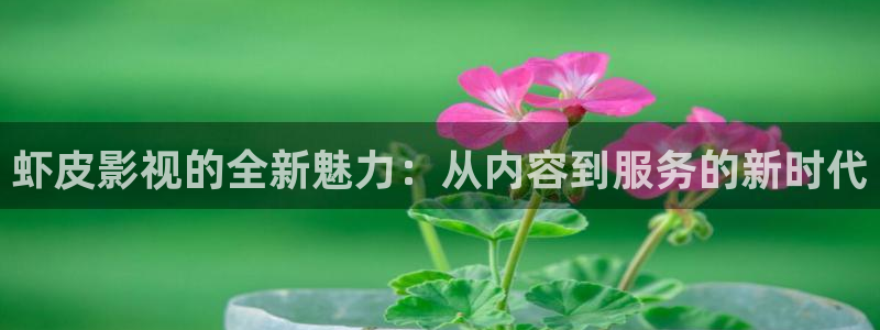 丝瓜视频官方网站：虾皮影视的全新魅力：从内容到服务的新时代