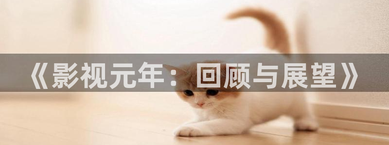 云南丝瓜：《影视元年：回顾与展望》