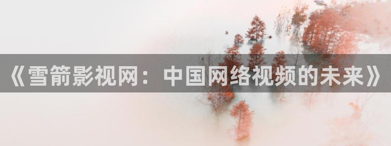 草莓视频下载丝瓜：《雪箭影视网：中国网络视频的未来》