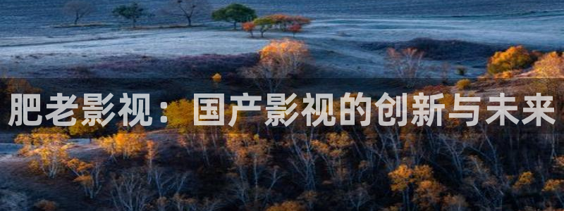 丝瓜视频swag：肥老影视：国产影视的创新与未来